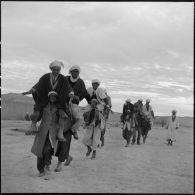 Entraînement physique et jeux pour les harkas de la région d'Oranie.