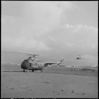 Atterissage d'hélicoptères de transport Sikorsky H-19 et Bell 47 sur un terrain près du Djebel Chelia.