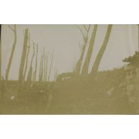 [Tranchée en ruine, s.d.]