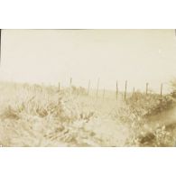 [Vue de barbelés, s.d.]