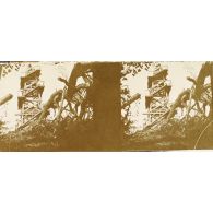 [Mirador, s.d.]