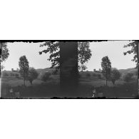 [Portrait de famille devant un paysage de campagne, s.d.]