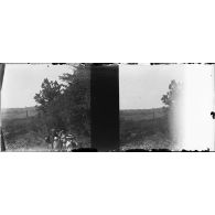 [Photographie de famille dans un paysage de campagne, s.d.]