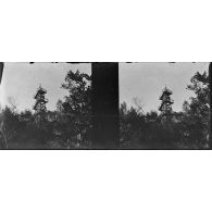 [Mirador, s.d.]