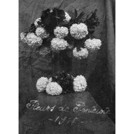 Fleurs de Pentecôte - 1915. [légende d'origine]