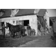 [Animaux dans une ferme, s.d.]