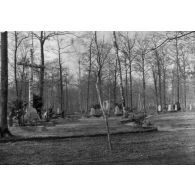 [Cimetière aménagé dans une forêt, s.d.]
