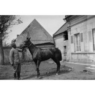 [Un militaire avec son cheval, s.d.]