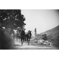 [Passage d'une carriole sur un chemin, 1920.]