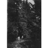[Deux femmes sur un sentier de forêt, s.d.]