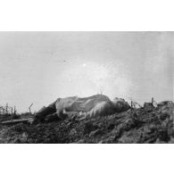[Cadavre sur le champ de bataille, s.d.]
