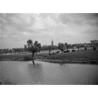 [Paysan conduisant des vaches, s.d.]