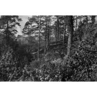 [Cabane dissimulée dans la forêt, s.d.]