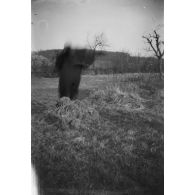 [Silhouette floue dans un champ, s.d.]