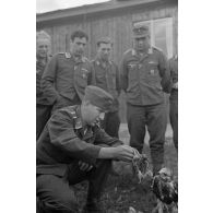 Un sous-officier (Unteroffizier), fauconnier de la Luftwaffe, entouré de ses camarades donne à manger des morceaux d'oiseau.