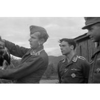 Un fauconnier, sous-officier (Unteroffizier) de la Luftwaffe, nourrit un faucon apprivoisé.