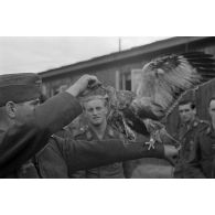 Un fauconnier, sous-officier (Unteroffizier) de la Luftwaffe, nourrit un faucon apprivoisé.