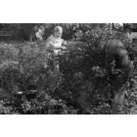 Cueillette des groseilles dans le jardin d'une propriété réquisitionnée par le See-Aufklaerungsgruppe-125.