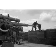 Trois servants d'une pièce de 8,8 cm FlaK-18-L56 nettoient le tube de leur canon avec un écouvillon.