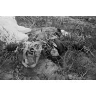 Cadavre d'un pilote soviétique, gisant sur le sol à côté de son parachute en torche.