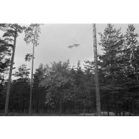 Deux hydravions allemands, Arado Ar-95, vus du sol, survolent une fôret.