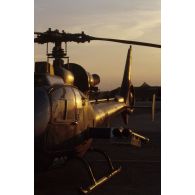 Hélicoptère de combat Gazelle Atam de l'ALAT (aviation légère de l'armée de terre) au sol, équipé de missiles air-air Mistral.