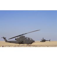 Hélicoptère de combat américain Bell-209 Huey Cobra dans le désert en ZDO (zone de déploiement opérationnel) Olive.