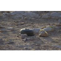 Une mine irakienne posée au sol.