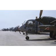 Alignement de nez d'avions américains de reconnaissance Grumman OV-1 Mohawk sur la piste de l'aéroport de Koweit City après la libération de la ville.