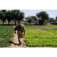 Le major Patrick encadre une action civilo-militaire (ACM) au Maraîchage de Gao, au Mali.