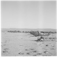 Algérie. Opération héliportée dans la région des Ouled-Rabah. Hélicoptères sur la piste.