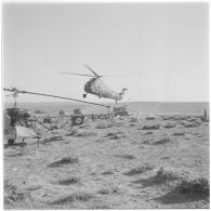 Algérie. Opération héliportée dans la région des Ouled-Rabah.