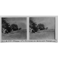 Oasis du Silet-Ahaggar - commandement de la mission du chemin de fer Transafricain. [légende d'origine]<br>