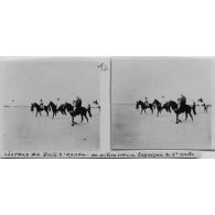 Chevaux du poste d'Agades, au milieu sur un baguezan le lieutenant Laibe. [légende d'origine]<br>