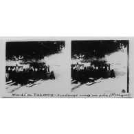 Marché au Dohomey - vendeuses sous un arbre (flamboyant). [légende d'origine]<br>