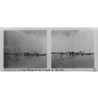 Convois de ravitaillement arrivant à Agadès. [légende d'origine]