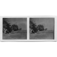 Oasis du Silet-Ahaggar - commandement de la mission du chemin de fer Transafricain. [légende d'origine]<br>