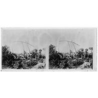 Puits à balancier - oasis d'Agadès. [légende d'origine]