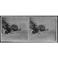 Oasis du Silet-Ahaggar - commandement de la mission du chemin de fer Transafricain. [légende d'origine]