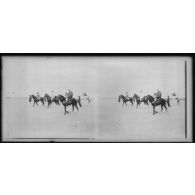 Chevaux du poste d'Agades, au milieu sur un baguezan le lieutenant Laibe. [légende d'origine]