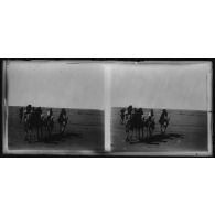 Goumiers Touareg - près d'Agadès. [légende d'origine]