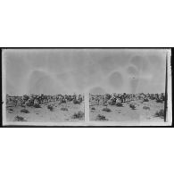 Départ section méhariste - tirailleurs à pied, chameaux bagages. [légende d'origine]