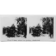 Pièce d'eau dans un jardin au Dahomey. [légende d'origine]