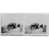 Puits de 40 m - chameau tire corde. [légende d'origine]