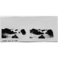 Halte dans le sable. [légende d'origine]