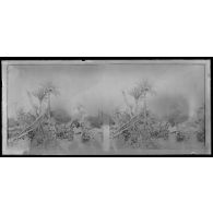 Puits à poulie dans l'oasis d'Agadès. [légende d'origine]