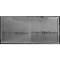 Convois de ravitaillement arrivant à Agadès. [légende d'origine].