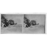 Oasis du Silet-Ahaggar - commandement de la mission du chemin de fer Transafricain. [légende d'origine]<br>