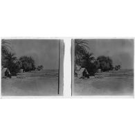 Oasis du Silet-Ahaggar - commandement de la mission du chemin de fer Transafricain. [légende d'origine]<br>