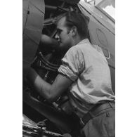 La maintenance d'un hydravion Arado Ar-196 immatriculé D1+GL du Aufklärungsgruppe.126.